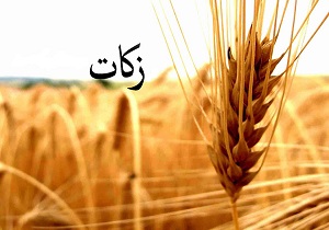 پرداخت 650 میلیون تومان زکات در استان اردبیل