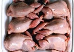 توزیع گوشت بلدرچین فقط با بسته بندی مجاز