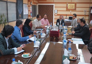 ساخت نیروگاه ۵۰ مگاواتی بادی با سرمایه گذاری خارجی