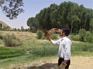رهاسازی یک قطعه سارگپه در تکاب