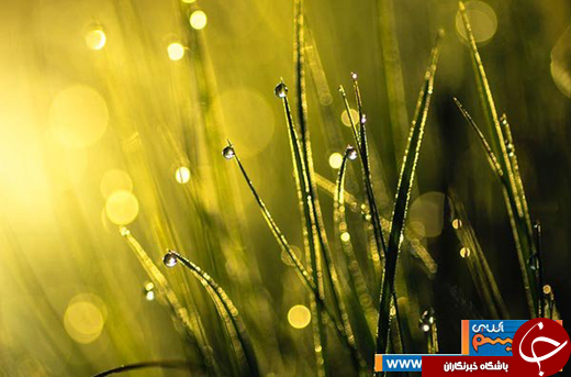 زیبایی&zwnj;&lrm;های فنلاند با عکس&zwnj;هایی از نمای بسیار نزدیک