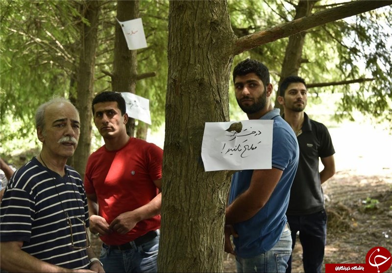 پارک جنگلی محمودآباد - فریدونکنار فروخته شد + سند