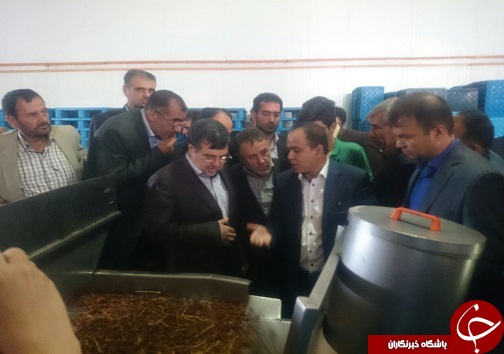 تاکید بر صادرات 150 میلیارد دلاری کشمش