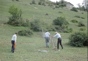 آزادسازی بیش از هزار هکتار از اراضی ملی و منابع طبیعی استان اردبیل
