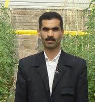 تولید 150میلیون نشاء گوجه در دیر