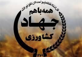 افزایش تولید در اولویت برنامه های وزارت کشاورزی