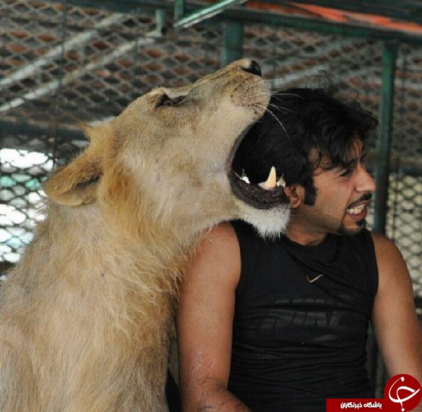 زندگی اعیانی بچه پولدار های عرب در اینستاگرام؛ از قلیان طلا تا ببرخانگی