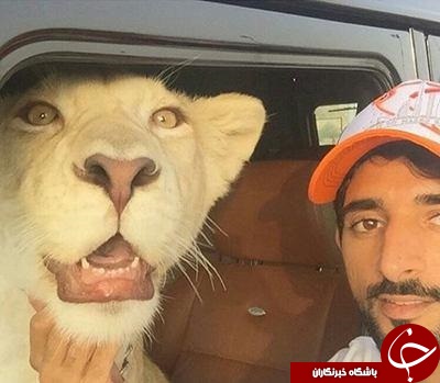 زندگی اعیانی بچه پولدار های عرب در اینستاگرام؛ از قلیان طلا تا ببرخانگی