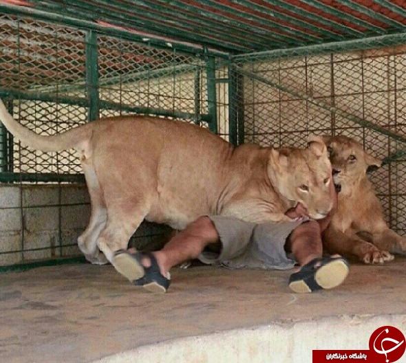 زندگی اعیانی بچه پولدار های عرب در اینستاگرام؛ از قلیان طلا تا ببرخانگی