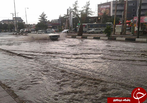 خسارت میلیاردی بارش باران در فسا + تصاویر
