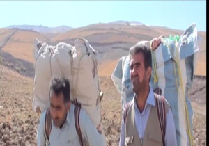 سودجویی وارد کنندگان کالای قاچاق بر روی دوش مرزنشینان + فیلم