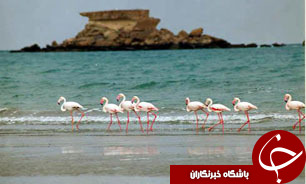 ورودنخستین کشتی گردشگران عمانی به قشم