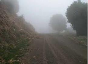 باران گردشگران جنگل ابر را غافلگیر کرد