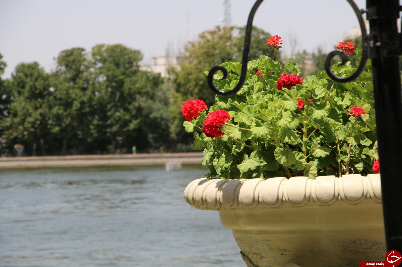 جاذبه گردشگری عمارت ائل گلی + تصاویر
