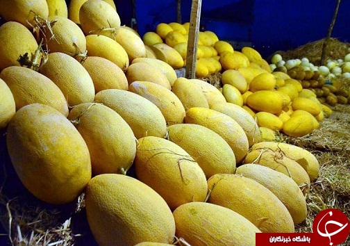 محصولات شهر دانسفهان