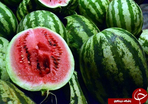 محصولات شهر دانسفهان