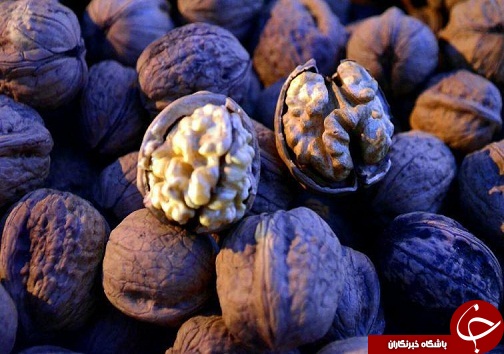 محصولات شهر دانسفهان