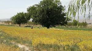 قناتغستان دهستانی با قنات های زیبا
