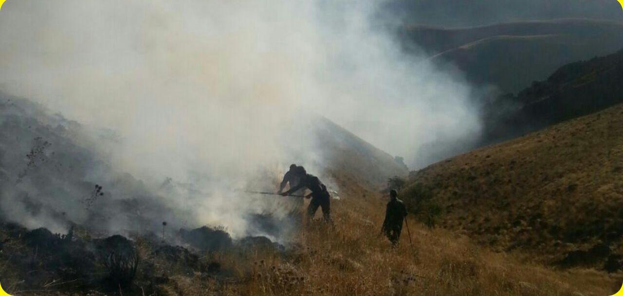 آتش همچنان مراتع استان را به کام خود می کشد