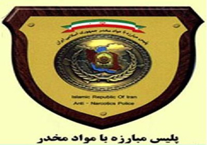 قاچاقچی بین المللی با 800 تن مواد مخدر دستگیر شد/ شناسایی افراد مرتبط با سرکرده 14 باند بزرگ