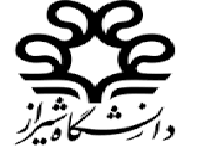 درخشش دانشجوی دانشگاه شیراز در المپیاد بین المللی آمار