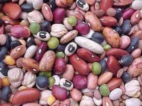 كشت حبوبات تابستانه در انديمشك