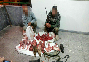 دستگیری دو "شکارچی غیر مجاز"