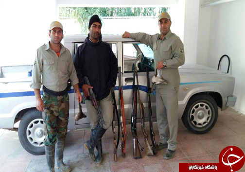 شکارچیان غیرمجاز پرنده خوتکا در دام قانون