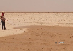 موفقيت طرح مالچ رسی