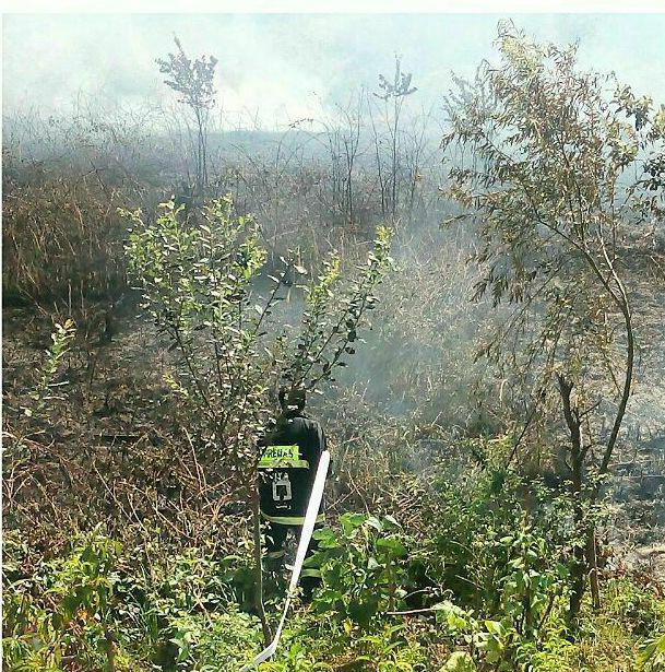 مهار آتش سوزی زمین های سطح شهر رشت