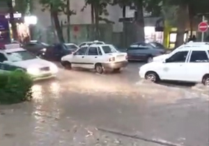 آبگرفتگی معابر در بجنورد در پی بارش باران + فیلم