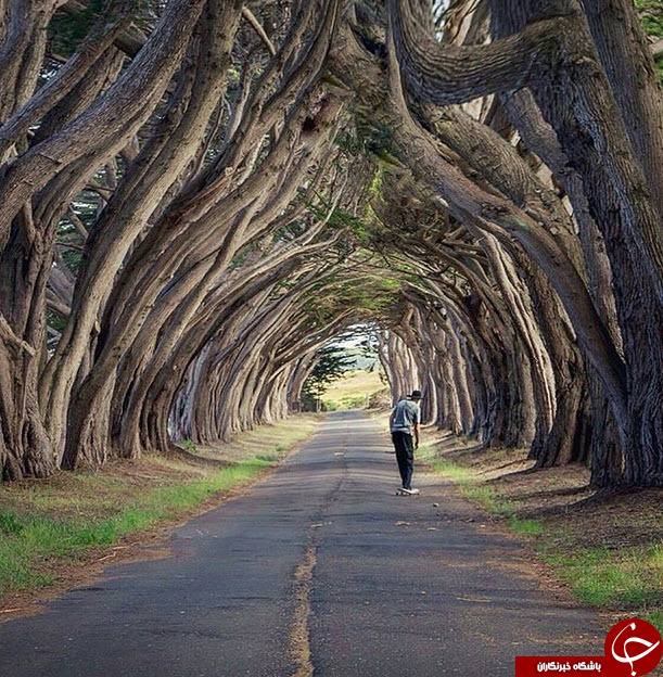 تصاویر منتخب نشنال جئوگرافیک