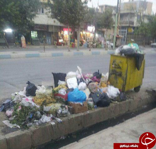 زباله&zwnj;های رها شده در مریوان + تصاویر
