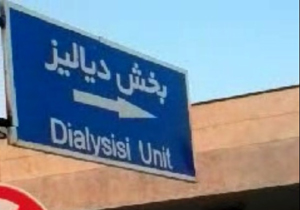 شهروندخبرنگار:سگ گرسنه در نزدیکی بخش دیالیز بیمارستان + فیلم