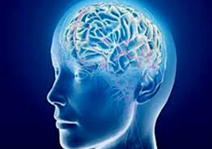 کنار گذاشتن ورزش چه تاثیری بر مغز می‌گذارد؟