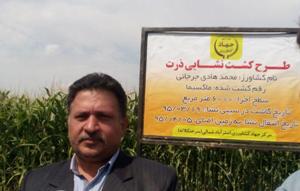اجرای موفقیت آمیز طرح کشت ذرت نشایی در گلستان