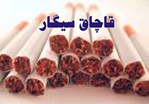 قاچاقچیان سیگار خارجی به جریمه نقدی محکوم شدند