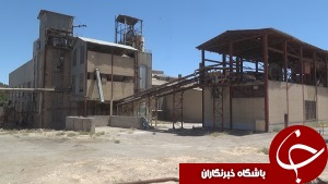 چرخ کارخانه قند قهستان بدون حمایت مسئولان نمی چرد