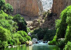 آزاد سازی چهار قطعه باغ در فارس