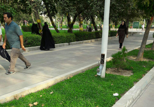خطر برق&zwnj;گرفتگی در پارک قائم + تصاویر