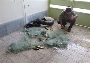 دستگیری دو صیاد متخلف در شاهین دژ