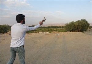 رهاسازی یک بهله پرنده شکاری