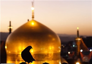 حرم مطهر رضوی عزادار شهادت فرزندگرانقدر ثامن الحجج(ع)