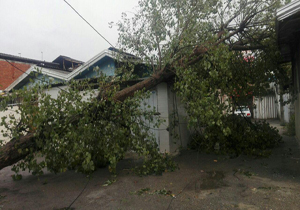 وصل شدن برق 60 درصد مناطق طوفان زده مازندران