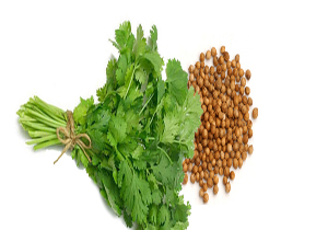 میزان صادرات تخم گشنیز چقدر است ؟