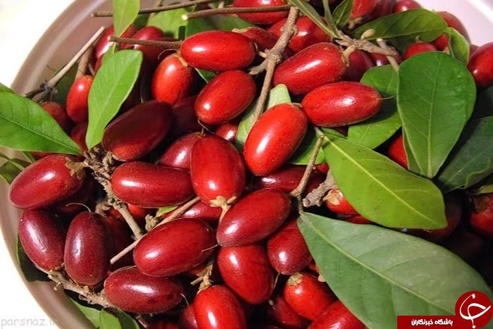 میوه&zwnj;های عجیبی که تاکنون ندیده&zwnj;اید