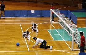 یک تویسرکانی، سرمربی تیم ملی گلبال جوانان کشور شد