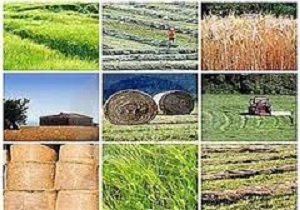 فعالیت یک هزار و 800 تعاونی در استان اردبیل