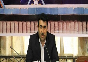 برگزاری نخستین مسابقه عکس انگور در ارومیه
