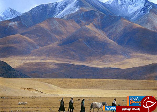 هارمونی انسان و دنیا در 20 عکس تماشایی
